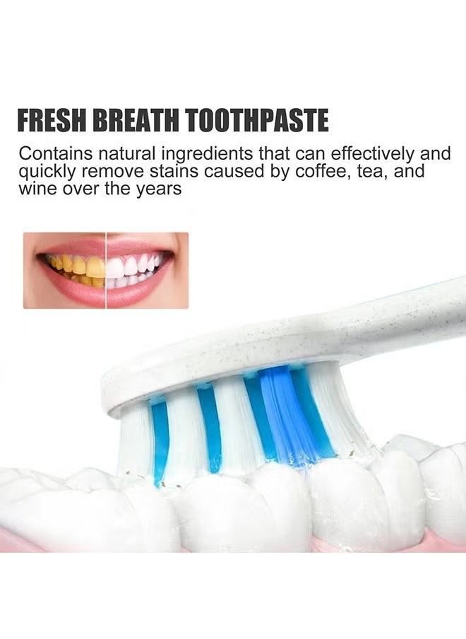 Whitening Probiotic Toothpaste | Healthy Gums + Freshness